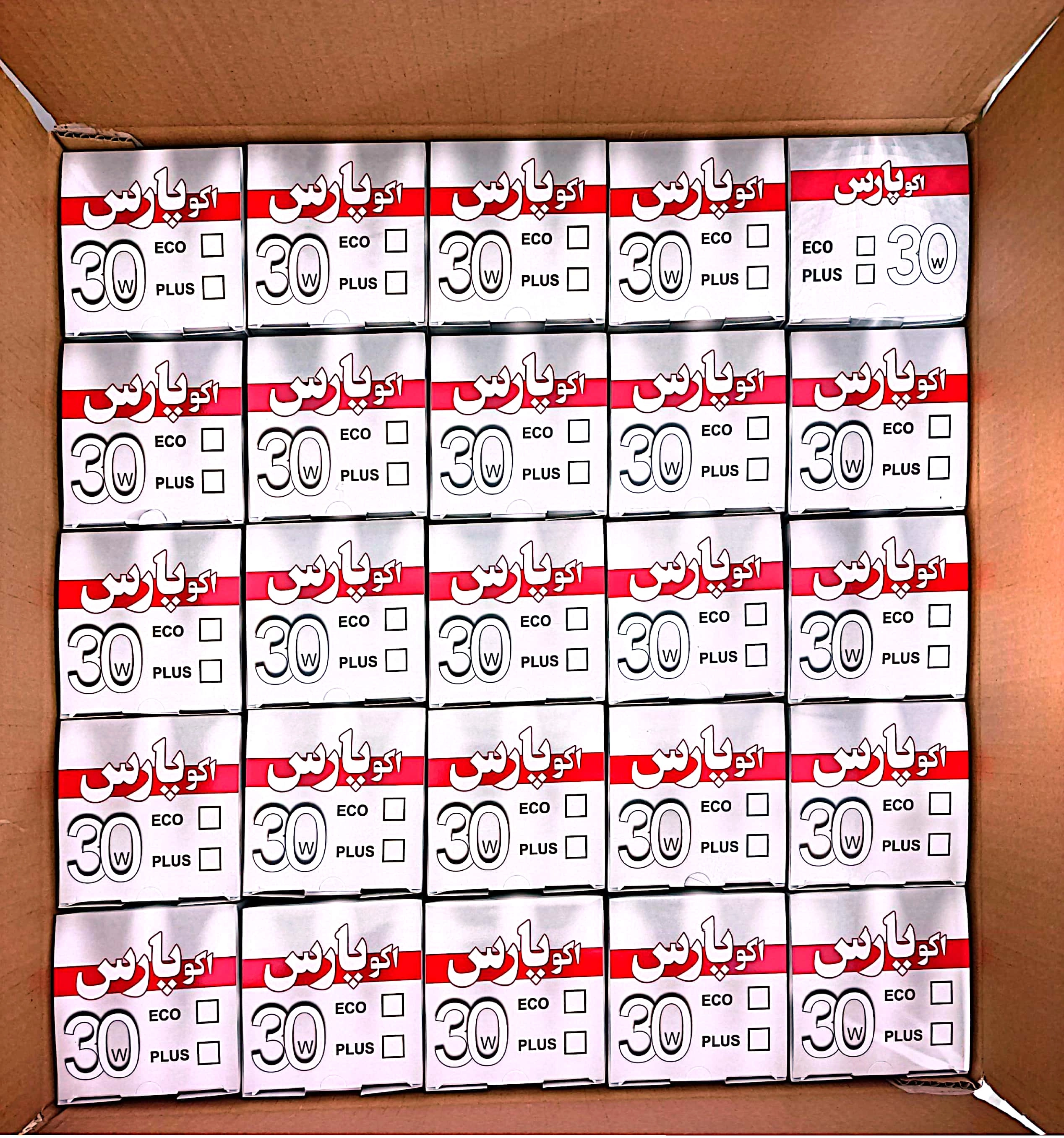 اکو پارس 30 وات مهتابی